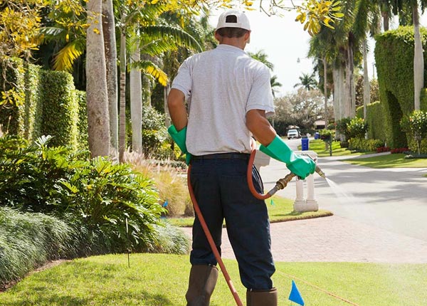 About Kuttawa KY Pest Control